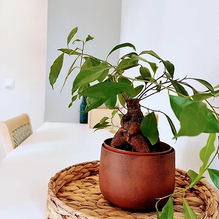 And Blue Villa Glykadi